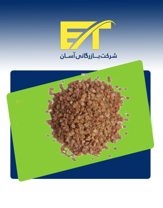 tmq-accelerator شتاب دهنده tmq